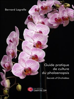 cover image of Guide pratique de culture du phalaenopsis